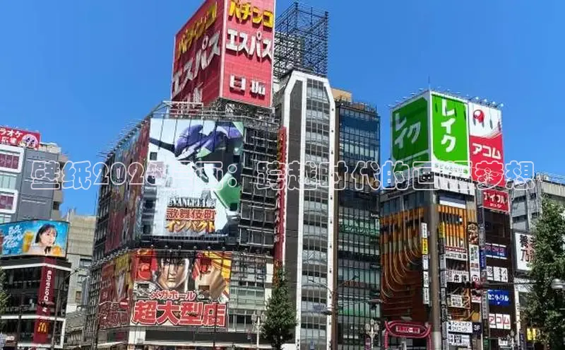 里番动漫在线免费观看